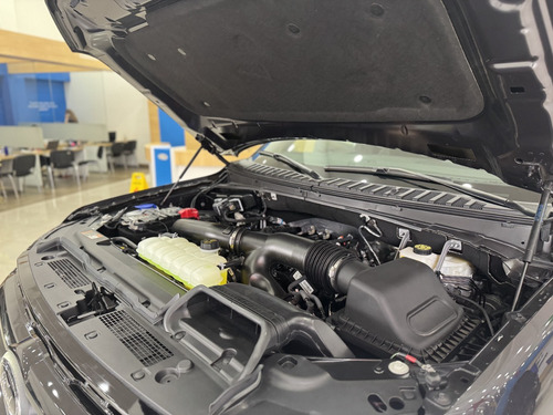 Ford Expedition Stealth Performance 2024