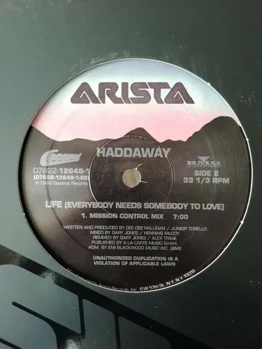 Haddaway - Life (everybody Needs Somebody To Love) (12 ) (Usado)