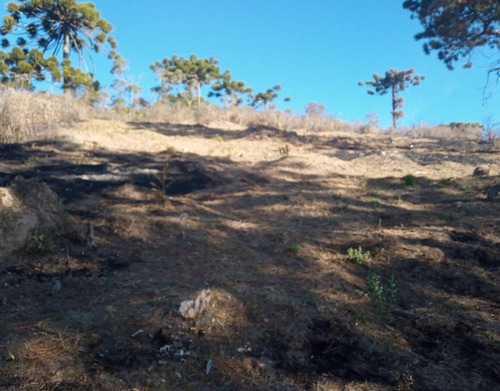 Imagem 1 de 11 de Terreno Com Vista Deslumbrante! - 34