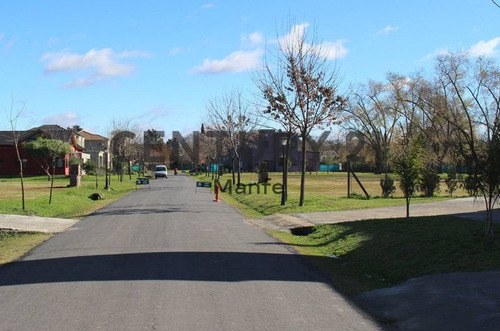 Imagen 11 de 21 de Venta De Lote Central En Bella Vista Chico