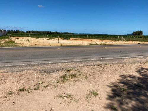 Imagem 8 de 10 de Loteadora Caburé Vende Excelentes Terrenos Na Avenida Principal De Barra Do Ribeiro (venda Direta)!!!