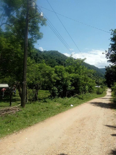 Imagen 2 de 7 de Terreno - San José Chiltepec