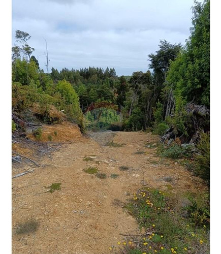 Parcela Con Acceso A Río Y Rol Propio
