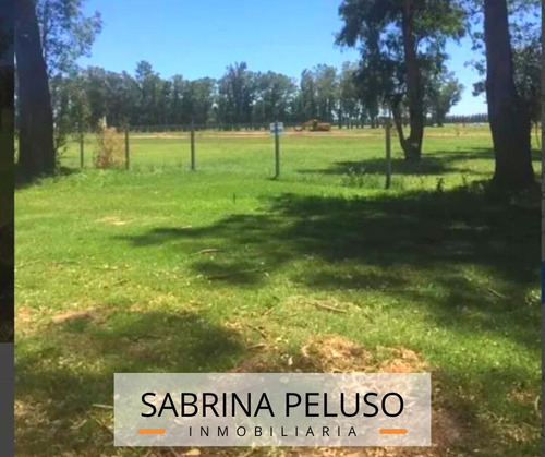Venta Terreno Tres Pinos