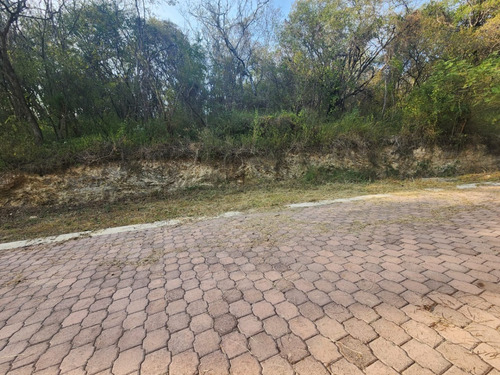 Venta Lote Gladiola 31 Muy Cerca De La Entrada Y En Nueva Zona De Fracc Rancho San Diego Ixtapan De La Sal Edomex Con Todos Los Servicios Y Proyecto Incluído