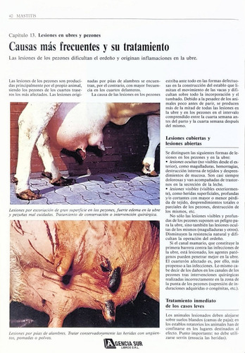 Enfermedades Del Vacuno, Del Cerdo Y La Mastitis