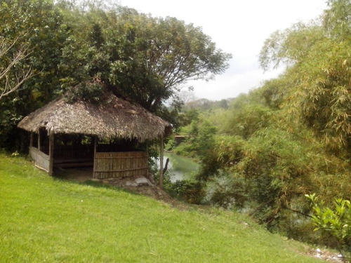 Terrenos En Venta En Ojite Veracruz, Casa Ypalapa