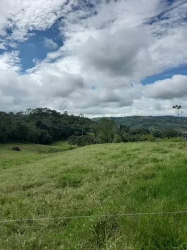 Vendo Finca Ganadera En Restrepo Valle