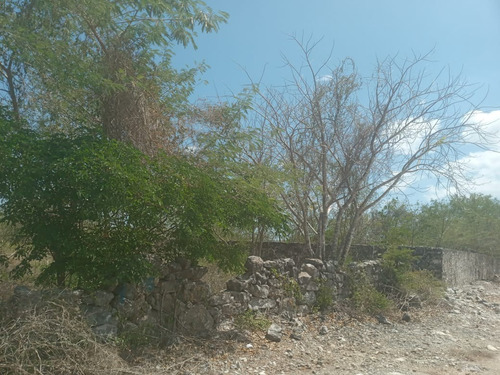 Imagen 1 de 2 de Terreno En Venta En Ucú