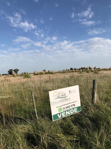 #venta Campo 6 - Fracción 4.38 Has En Uribelarrea - Cañuelas