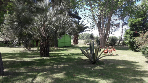 Imagen 7 de 13 de Chacra Con Lote En San Clemente