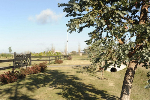 Lote En Chacras De La Trinidad Cañuelas Permuta