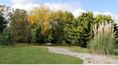 Imagen 8 de 19 de Retazado Terreno Proyecto Aprobado - Campos De Roca L