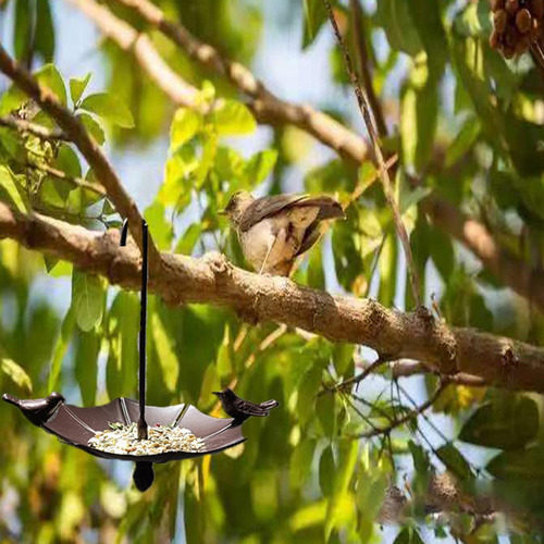 Alimentador De Aves Para De Bandeja De Receptor De Semillas