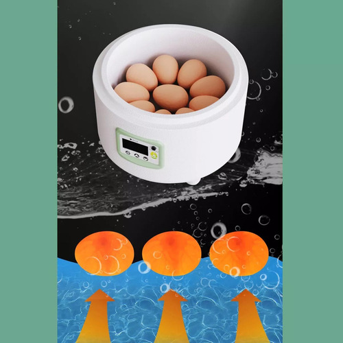 Para Máquina De Cama De Agua Con Pantalla Digital Pequeña
