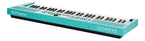 Teclado Musical Roland GOKEYS3-TQ 61 Teclas Verde Claro 220V