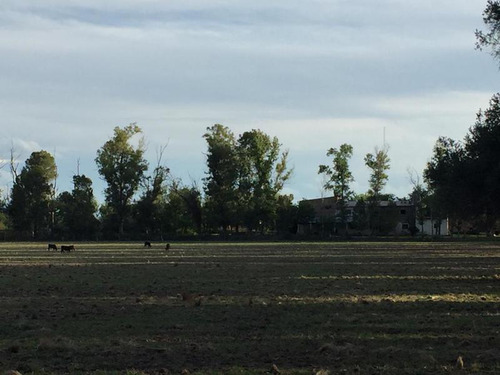 Campo - San Javier