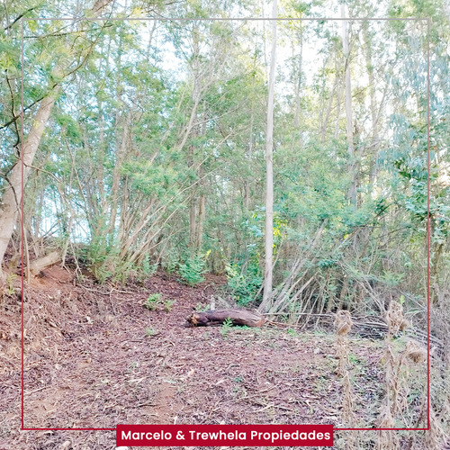 Vendo Terreno Indigena, 3.3 Hectareas, Comuna De Nueva Imper