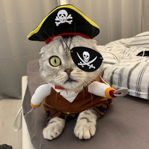 Disfraz De Gato Pirata Con Sombrero Y Triángulo Para Hallowe