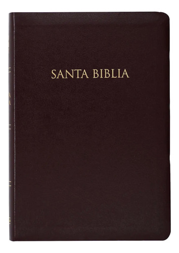 Biblia Nueva Versión Internacional Nvi Tapa Burdeo