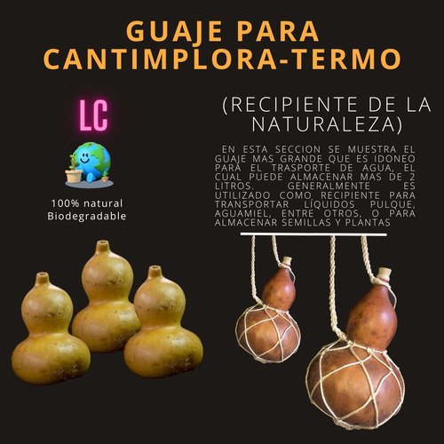 Semillas De Guaje