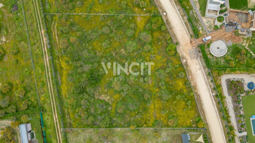 Parcela En Venta En Condominio Las Añañucas, Limache