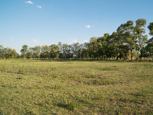 Imagen 6 de 10 de La Eugenia!! Lotes De 600 Mts².