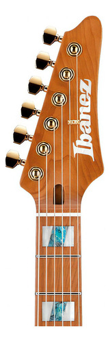 Guitarra Ibanez Tim Henson Thbb10 Thbb-10 Thbb 10 negra con guía para la mano derecha