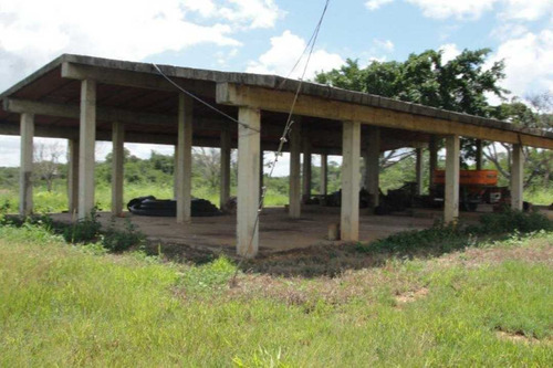 Imagen 22 de 25 de Finca De 400 Has En Sabana Grande De Orituco