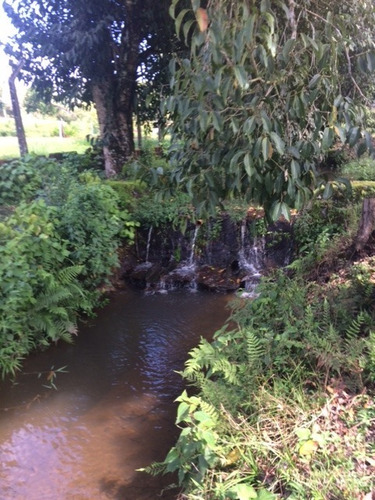 Imagem 13 de 15 de Mais Qualidade De Vida P/você Granja 2,5hec C/riacho Perene Na Guabiraba, Aceito Carro - Ch00026 - 68728098