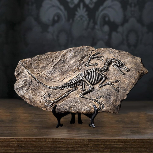 Fósil De Dinosaurio De Resina De Esqueleto