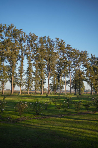 Lote En Venta Barrio Villa De Campo Tres Pinos- General Rodriguez-financiacion