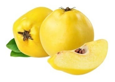 Linda Muda De Marmelo Doce Enxertado - Exótica