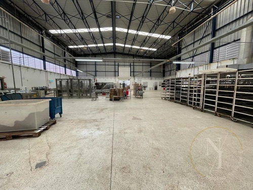 Imagem 3 de 15 de Excelente Galpão - 1400m² - Ramo Alimentício - Vila Lucia - São Paulo - 6726
