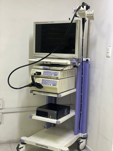 Renta Y Servicio Integral De Equipo De Endoscopia Insumos