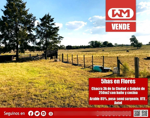 Venta Chacra Flores 5 Hectárea A 2 Km De Trinidad Flores