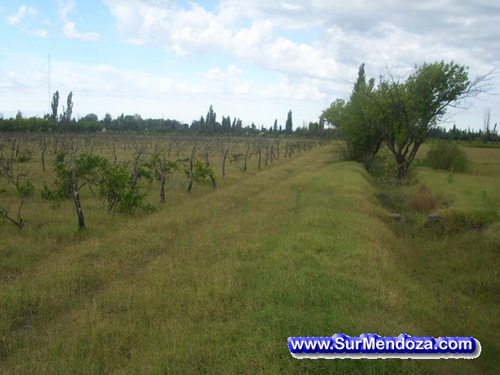 Imagen 1 de 12 de Permuto Lindo Terreno-campo 1,63ha Cuotas Fijas En Pesos