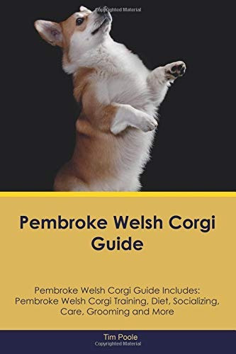Pembroke Welsh Corgi Guide Pembroke Welsh Corgi Guide Includ
