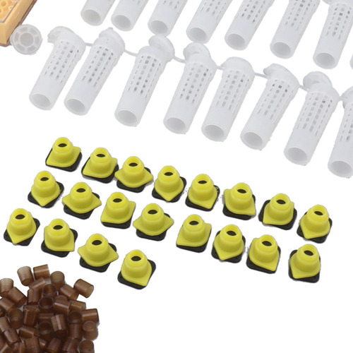 Kit De Sistema Apícola Para La Cría De Abejas Reinas Y Repro