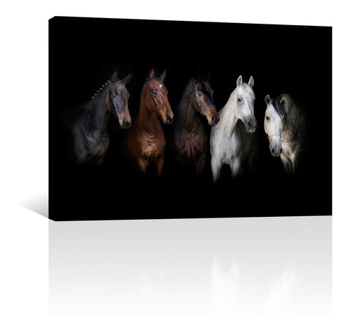 Cuadro Decorativo Animales Canvas Caballos Horses Portrait