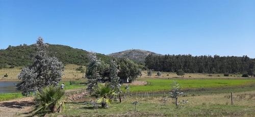 Campo Sobre Ruta Interbalnearia