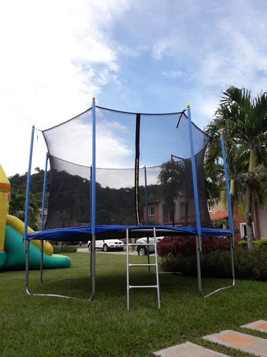 Imagen 2 de 2 de Cama Elástica 10 Ft ( Trampolín 3m )