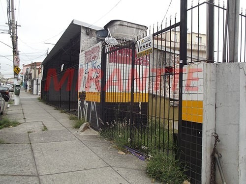 Imagem 17 de 18 de Terreno Em Imirim - São Paulo, Sp - 293902