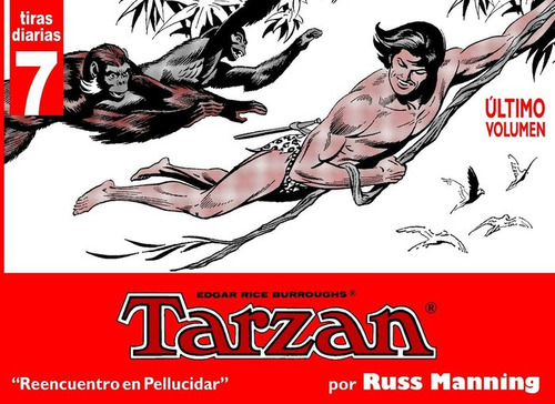 Tarzan: Tiras Diarias 07, De Manning, Russ. Editorial Libros De Papel, Tapa Blanda En Español