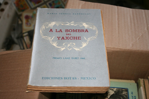 A La Sombra Del Yaxche , Maria Teresa Santoscoy  , Año 19