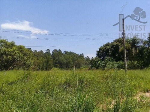 Imagem 10 de 11 de Cod 3943 - Área Com 40 Alqueires A 900 Metros Da Raposo Tava - 3943