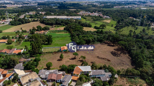 Imagem 7 de 30 de Terreno À Venda, 17538 M² Por R$ 3.500.000,00 - Guatupê - São José Dos Pinhais/pr - Te0074