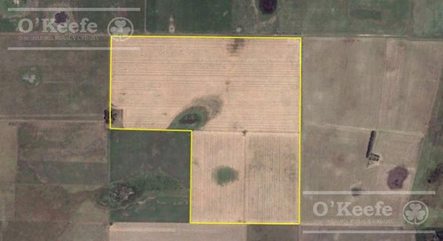 Campo De 155 Has En Venta En Benito Juarez - 100 % Agrícola - Excelente Rentabilidad