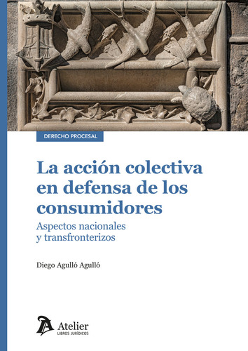 Libro La Accion Colectiva En Defensa De Los Consumidores ...