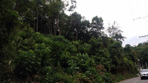 Imagem 2 de 9 de Terreno Loteamento Para Venda Em Capuavinha - Mairiporã - 230